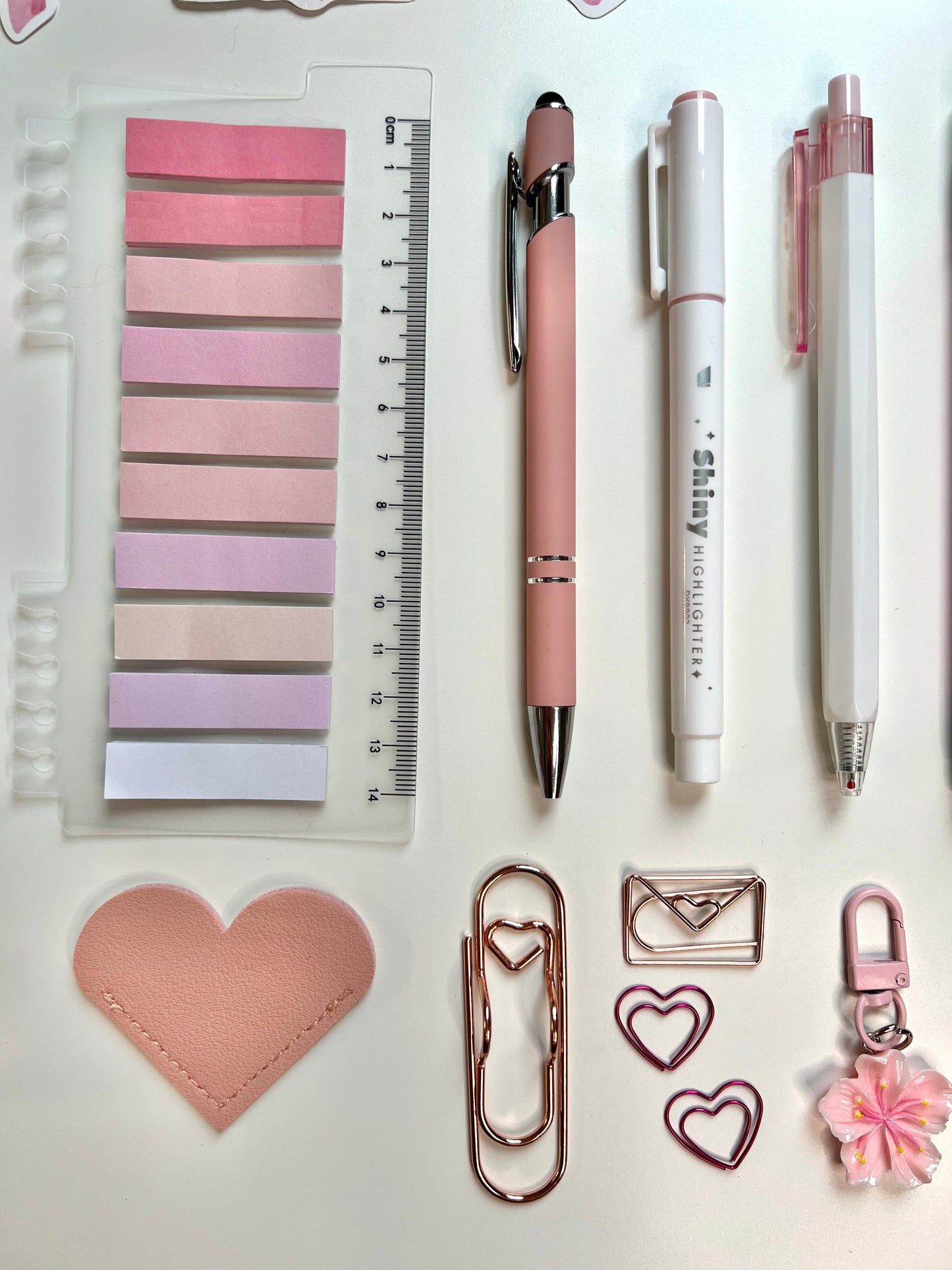 PINK Reading Kit Bookish Bundle (RKBB001)