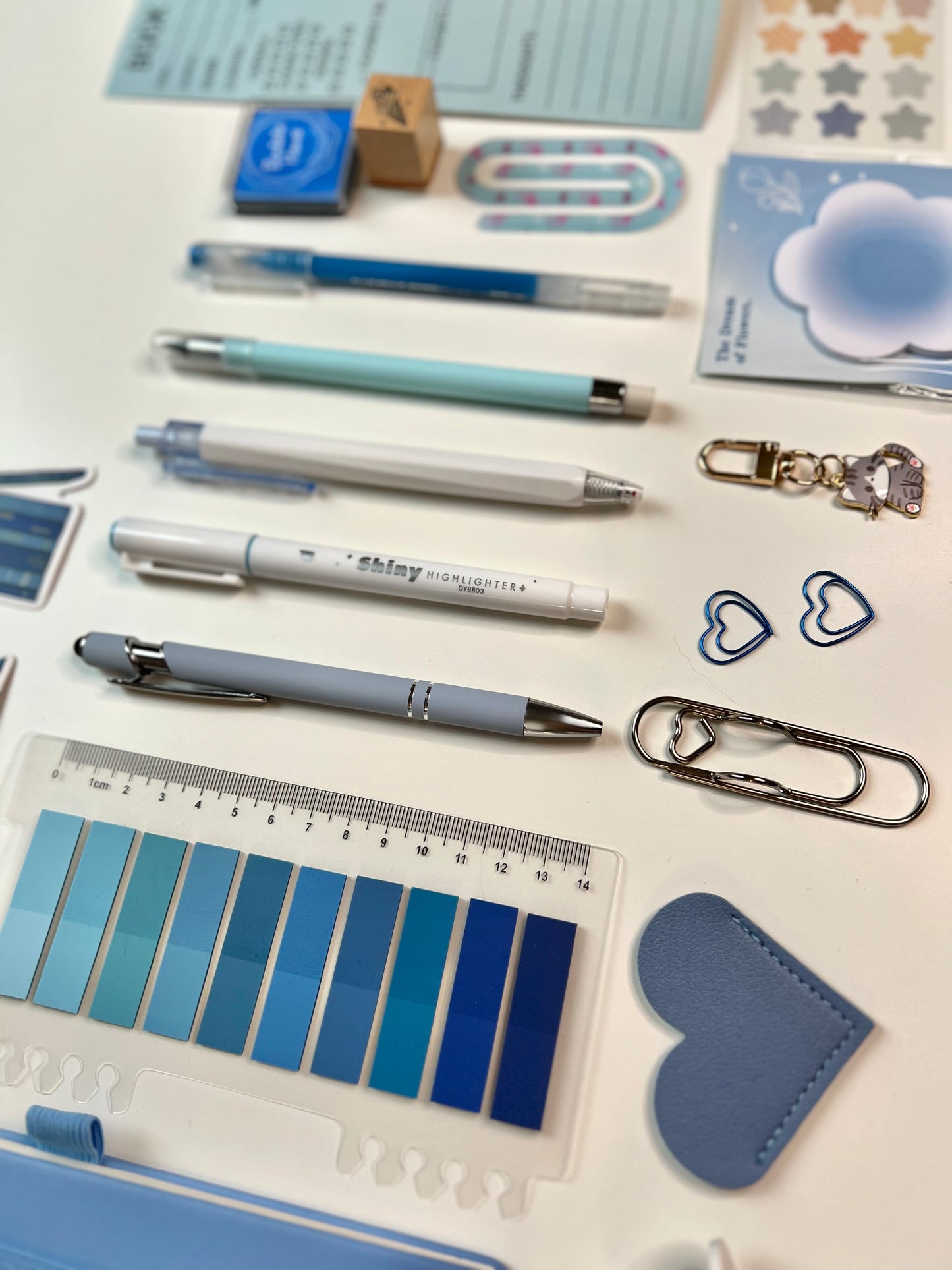 BLUE Reading Kit Bookish Bundle (RKBB003)